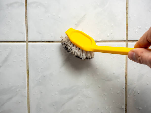 Best Commercial Mold Removal  in Milan, IN