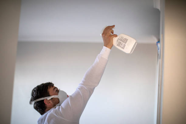 Best Mold Removal Near Me  in Milan, IN